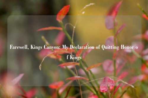 Farewell, Kings Canyon: My Declaration of Quitting Honor of Kings