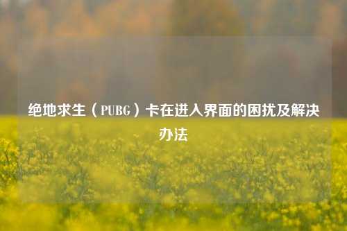 绝地求生（PUBG）卡在进入界面的困扰及解决办法