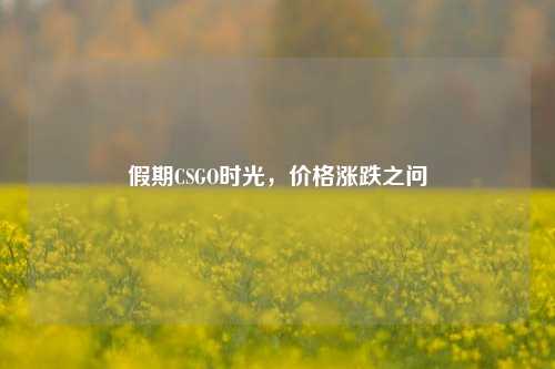 假期CSGO时光,价格涨跌之问