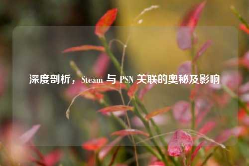 深度剖析,Steam 与 PSN 关联的奥秘及影响