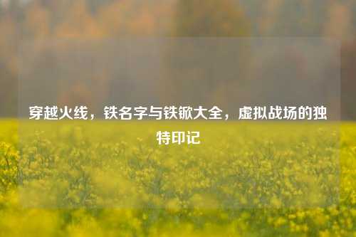 穿越火线,铁名字与铁锨大全,虚拟战场的独特印记