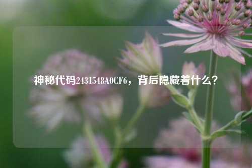 神秘代码2431548A0CF6,背后隐藏着什么?
