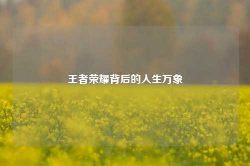 王者荣耀背后的人生万象