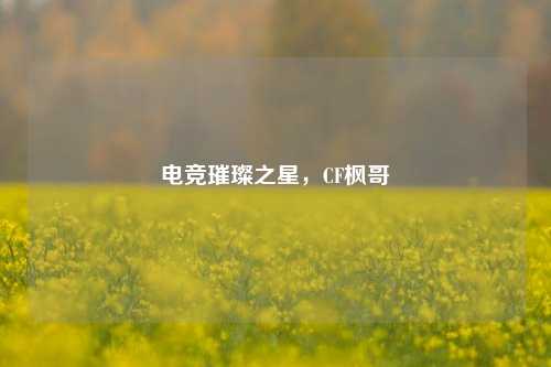 电竞璀璨之星,CF枫哥