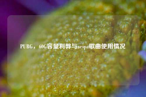 PUBG,60G容量利弊与aespa歌曲使用情况