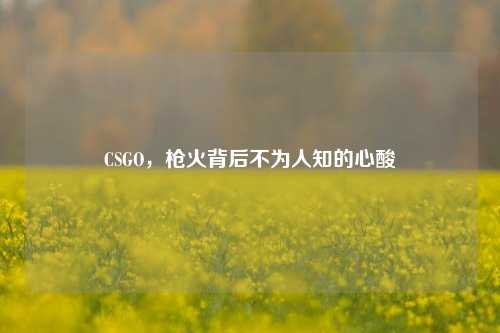 CSGO，枪火背后不为人知的心酸