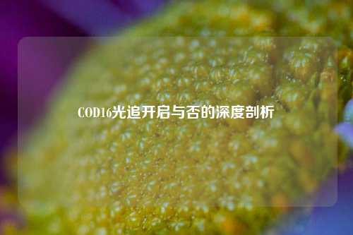 COD16光追开启与否的深度剖析