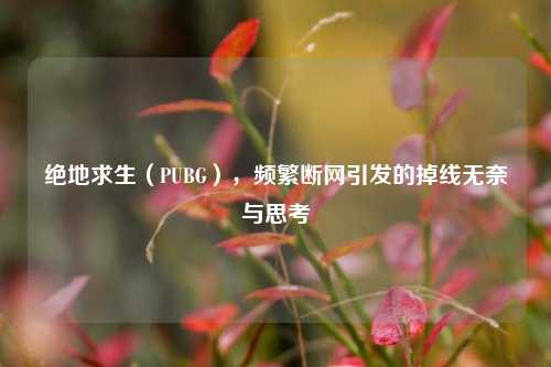 绝地求生（PUBG），频繁断网引发的掉线无奈与思考
