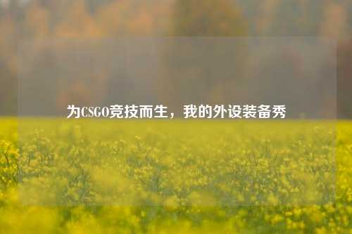 为CSGO竞技而生，我的外设装备秀