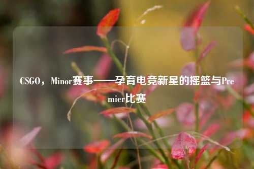 CSGO，Minor赛事——孕育电竞新星的摇篮与Premier比赛