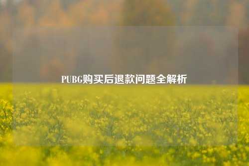 PUBG购买后退款问题全解析