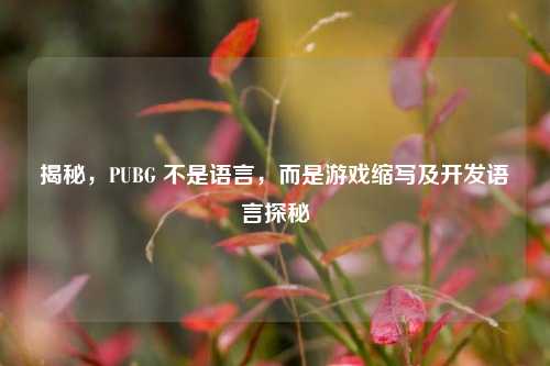 揭秘，PUBG 不是语言，而是游戏缩写及开发语言探秘