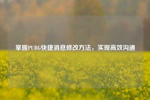 掌握PUBG快捷消息修改方法，实现高效沟通