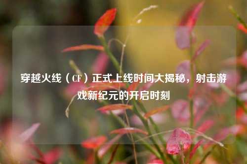 穿越火线（CF）正式上线时间大揭秘，射击游戏新纪元的开启时刻