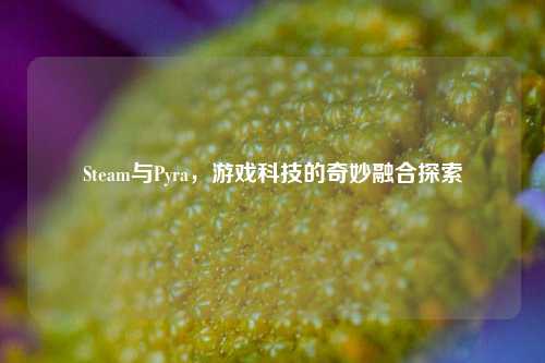 Steam与Pyra，游戏科技的奇妙融合探索