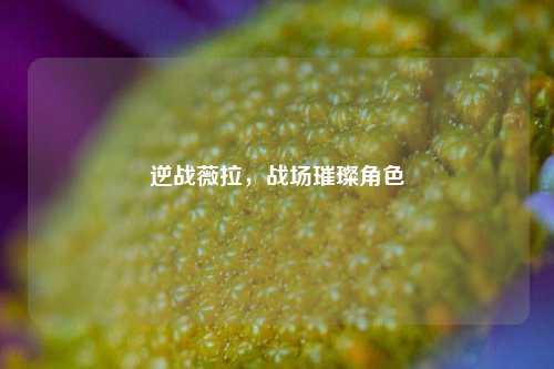 逆战薇拉，战场璀璨角色