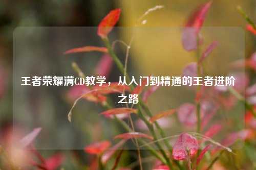 王者荣耀满CD教学，从入门到精通的王者进阶之路