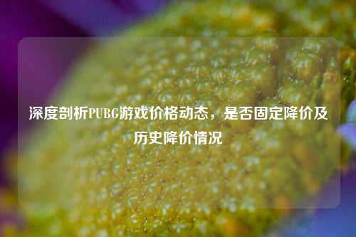 深度剖析PUBG游戏价格动态,是否固定降价及历史降价情况