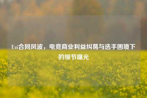 Uzi合同风波,电竞商业利益纠葛与选手困境下的细节曝光