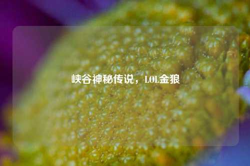 峡谷神秘传说,LOL金狼