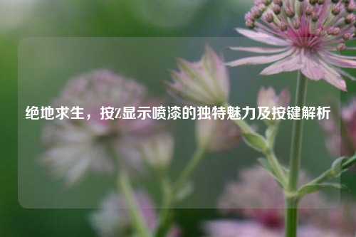 绝地求生，按Z显示喷漆的独特魅力及按键解析