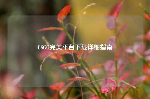 CSGO完美平台下载详细指南