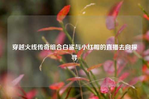 穿越火线传奇组合白鲨与小红帽的直播去向探寻