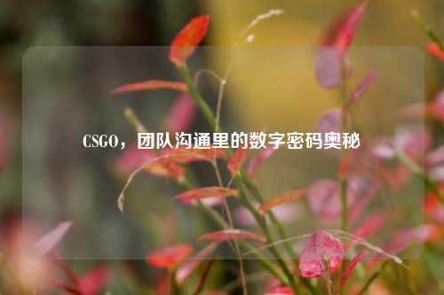 CSGO,团队沟通里的数字密码奥秘