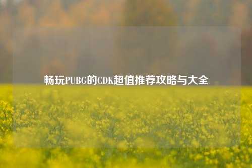 畅玩PUBG的CDK超值推荐攻略与大全