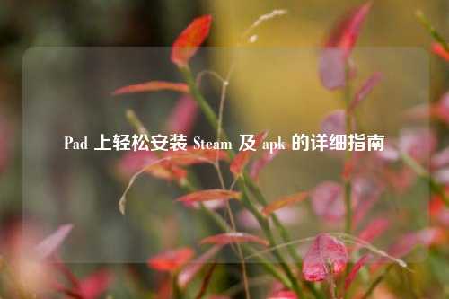 Pad 上轻松安装 Steam 及 apk 的详细指南
