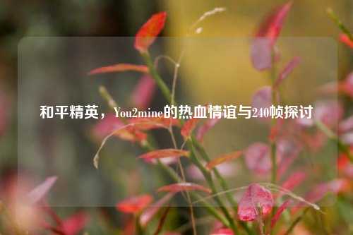 和平精英,You2mine的热血情谊与240帧探讨