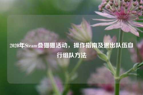 2020年Steam叠猫猫活动，操作指南及退出队伍自行组队方法