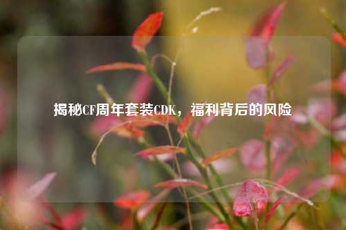 揭秘CF周年套装CDK,福利背后的风险