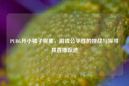 PUBG开小橘子现象,游戏公平性的挑战与探寻其直播踪迹