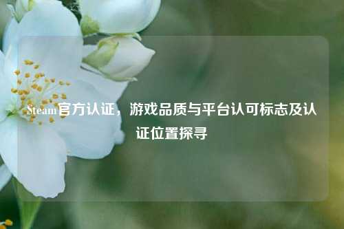 Steam官方认证,游戏品质与平台认可标志及认证位置探寻