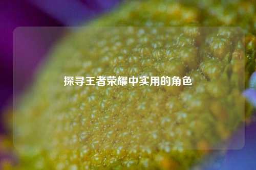 探寻王者荣耀中实用的角色