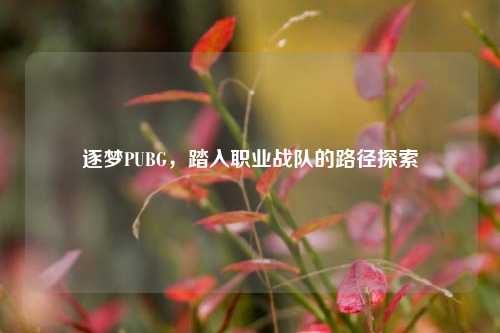 逐梦PUBG,踏入职业战队的路径探索