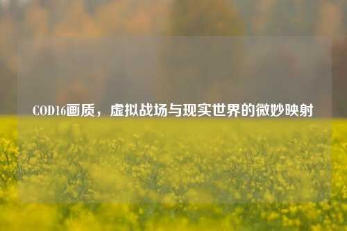COD16画质,虚拟战场与现实世界的微妙映射