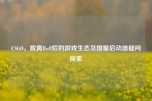 CSGO,脱离Buff后的游戏生态及国服启动器疑问探索