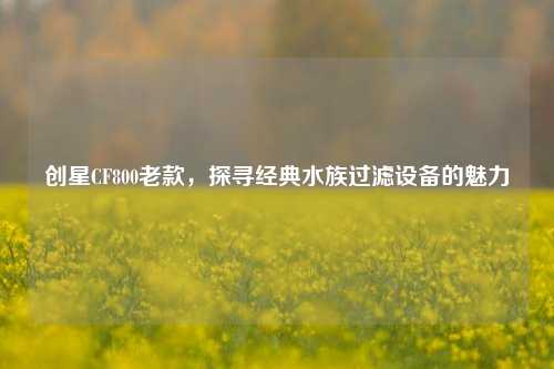 创星CF800老款，探寻经典水族过滤设备的魅力