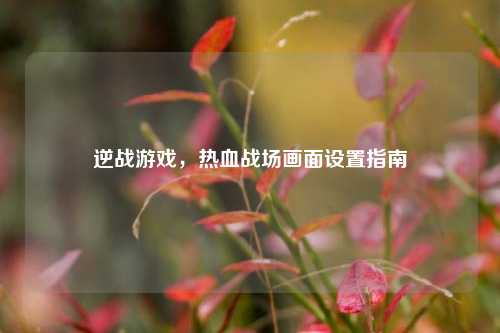 逆战游戏,热血战场画面设置指南