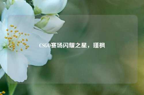 CSGO赛场闪耀之星，瑾枫