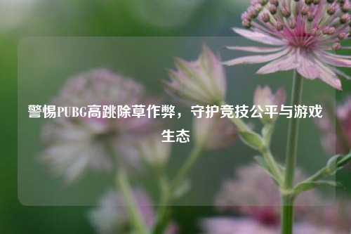 警惕PUBG高跳除草作弊,守护竞技公平与游戏生态