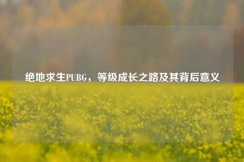 绝地求生PUBG，等级成长之路及其背后意义