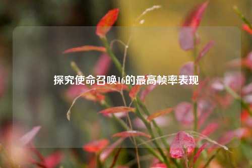 探究使命召唤16的最高帧率表现