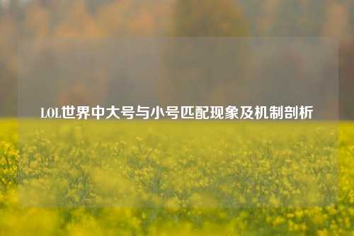 LOL世界中大号与小号匹配现象及机制剖析