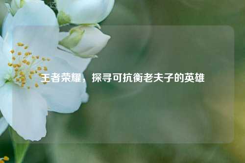 王者荣耀,探寻可抗衡老夫子的英雄