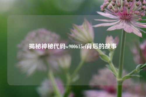 揭秘神秘代码w900615cf背后的故事