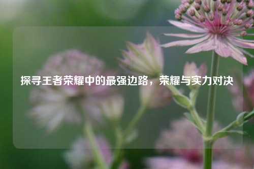 探寻王者荣耀中的最强边路,荣耀与实力对决