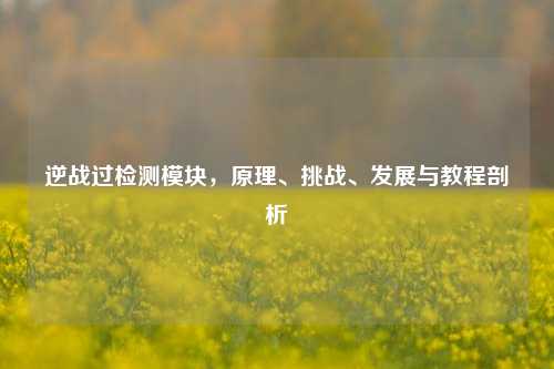 逆战过检测模块，原理、挑战、发展与教程剖析